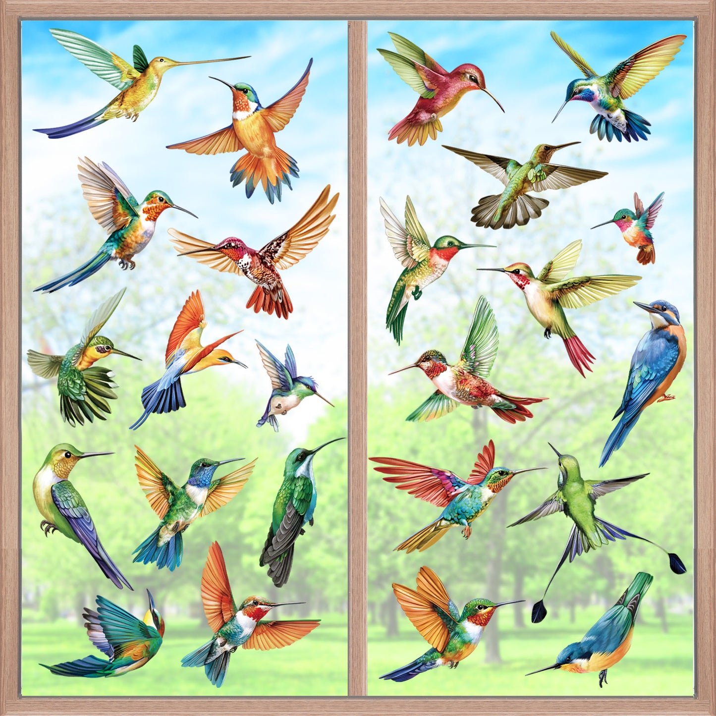 decalmile 25 pcs Hummingbird Double Sided Window Clings Spring Summer Bird Alert Anti-Collision Window Decals
