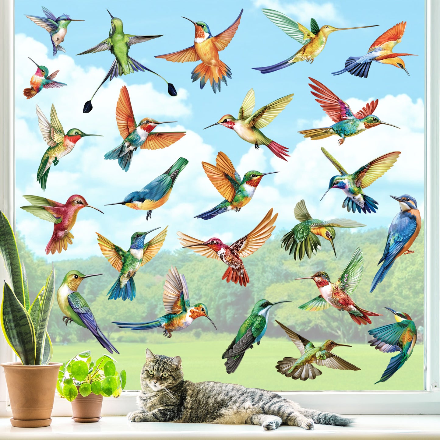 decalmile 25 pcs Hummingbird Double Sided Window Clings Spring Summer Bird Alert Anti-Collision Window Decals