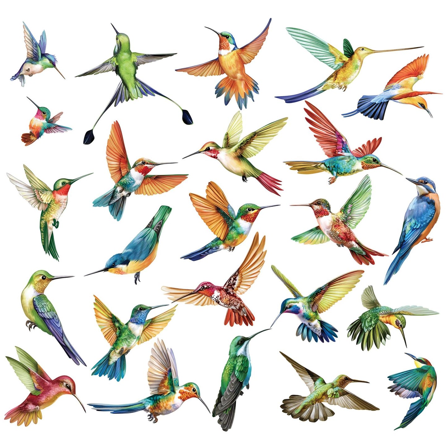 decalmile 25 pcs Hummingbird Double Sided Window Clings Spring Summer Bird Alert Anti-Collision Window Decals